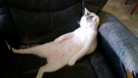 I Can Sleep Anywhere - Photo Cred: Erin Bean